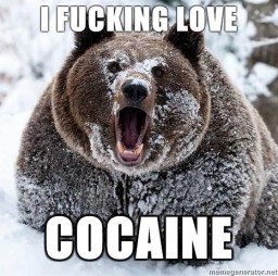 more_bear_i_fucking_love_cocaine_Random_Funny-s466x462-69802-580.jpg