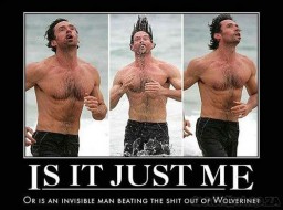 Wolverine-owned.jpg